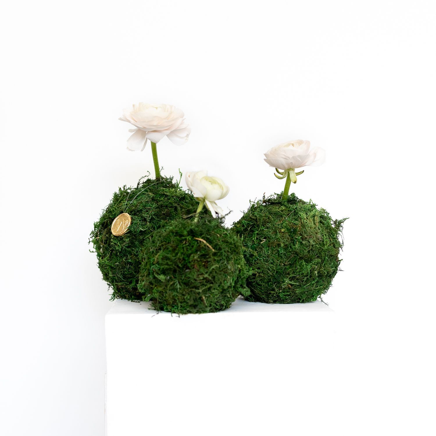 Table Bloom Blitz