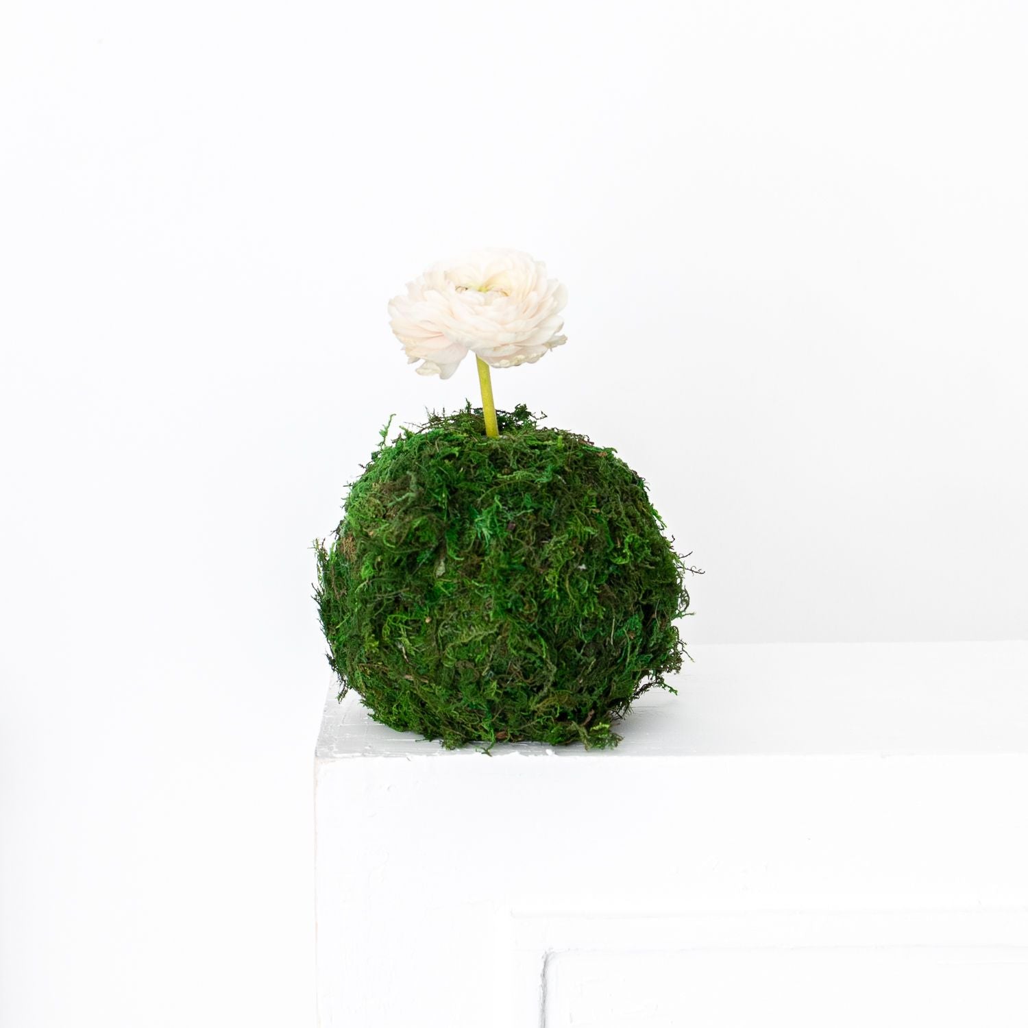 Table Bloom Blitz
