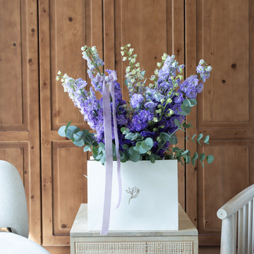 Delphiniums