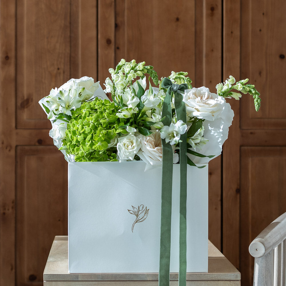 Dream of Vows