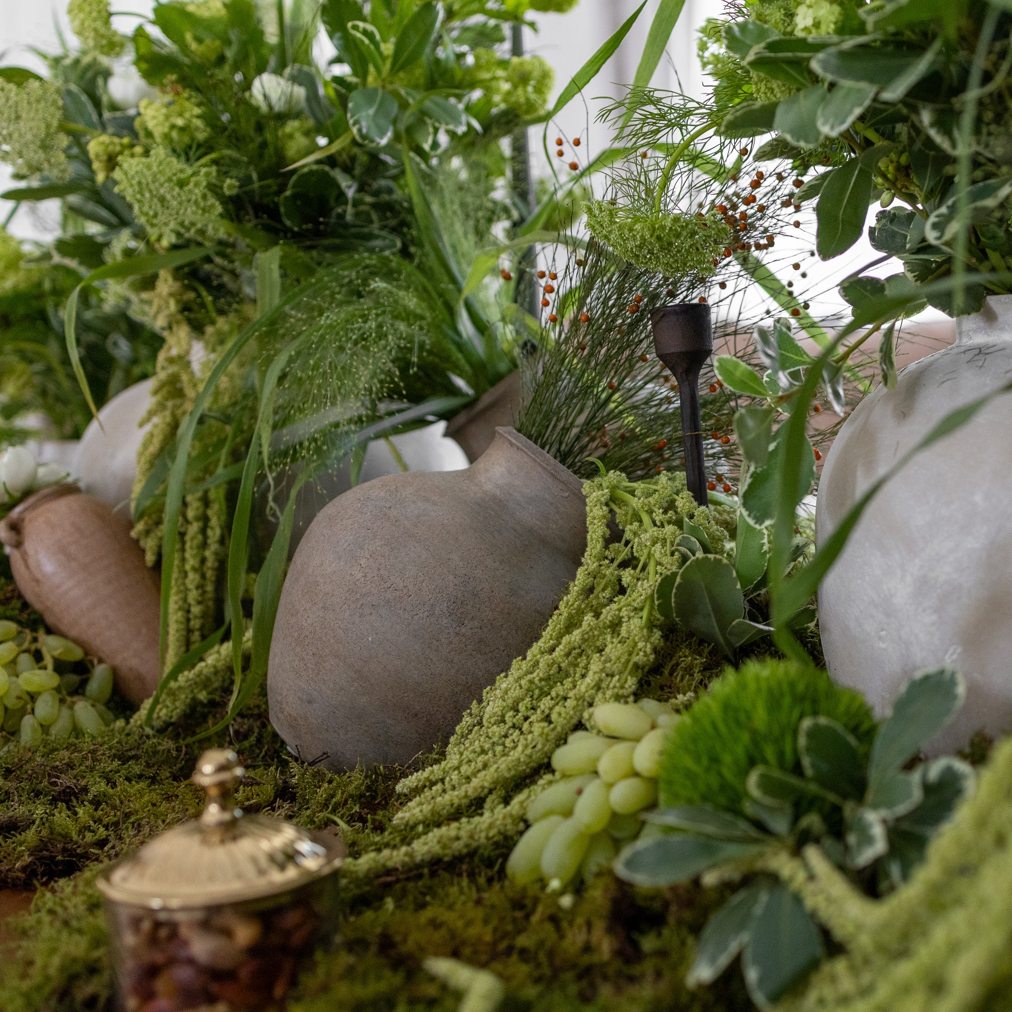 Hop Into The Garden