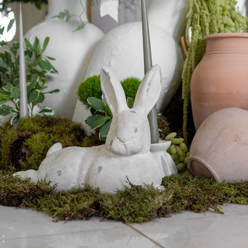 Hop Into The Garden
