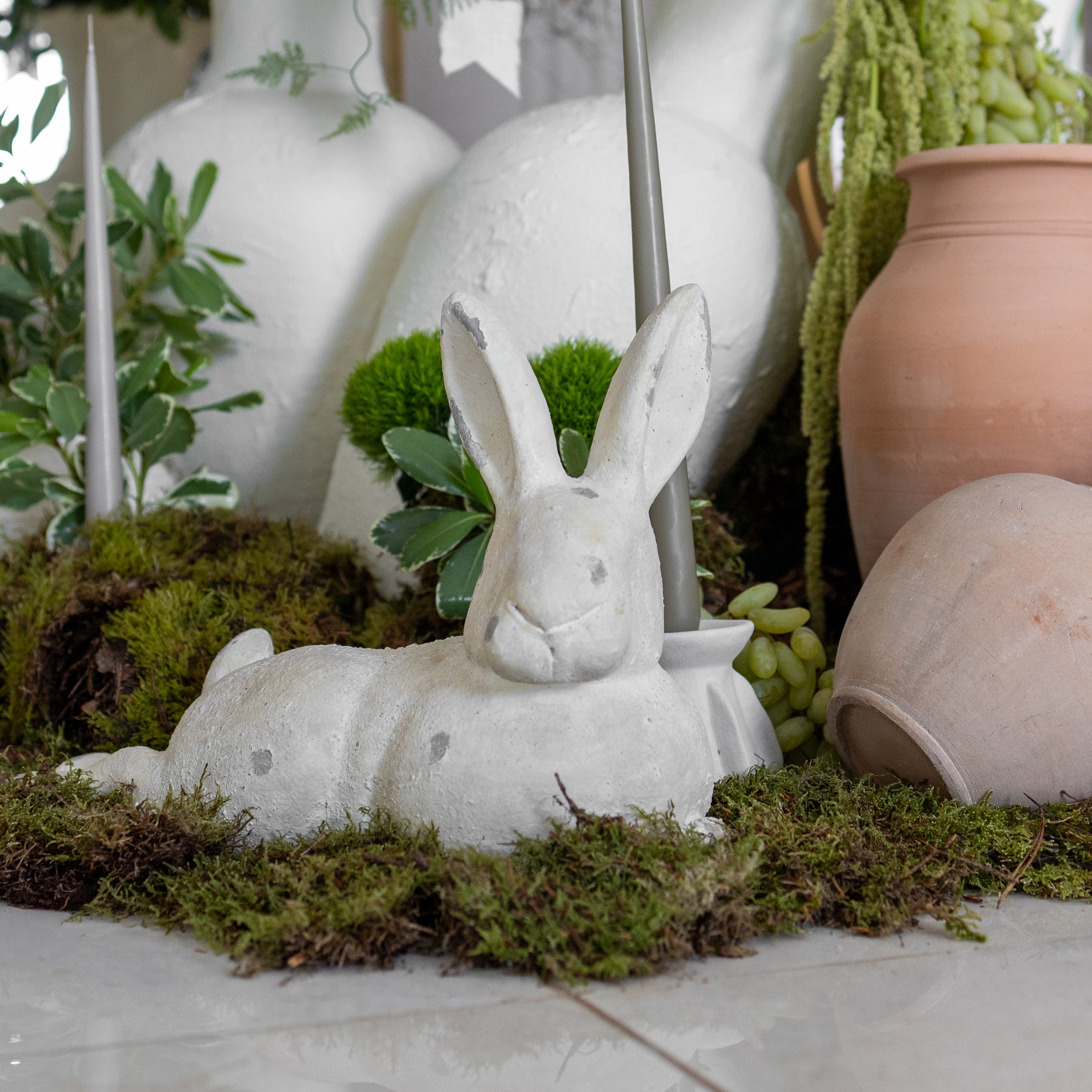 Hop Into The Garden