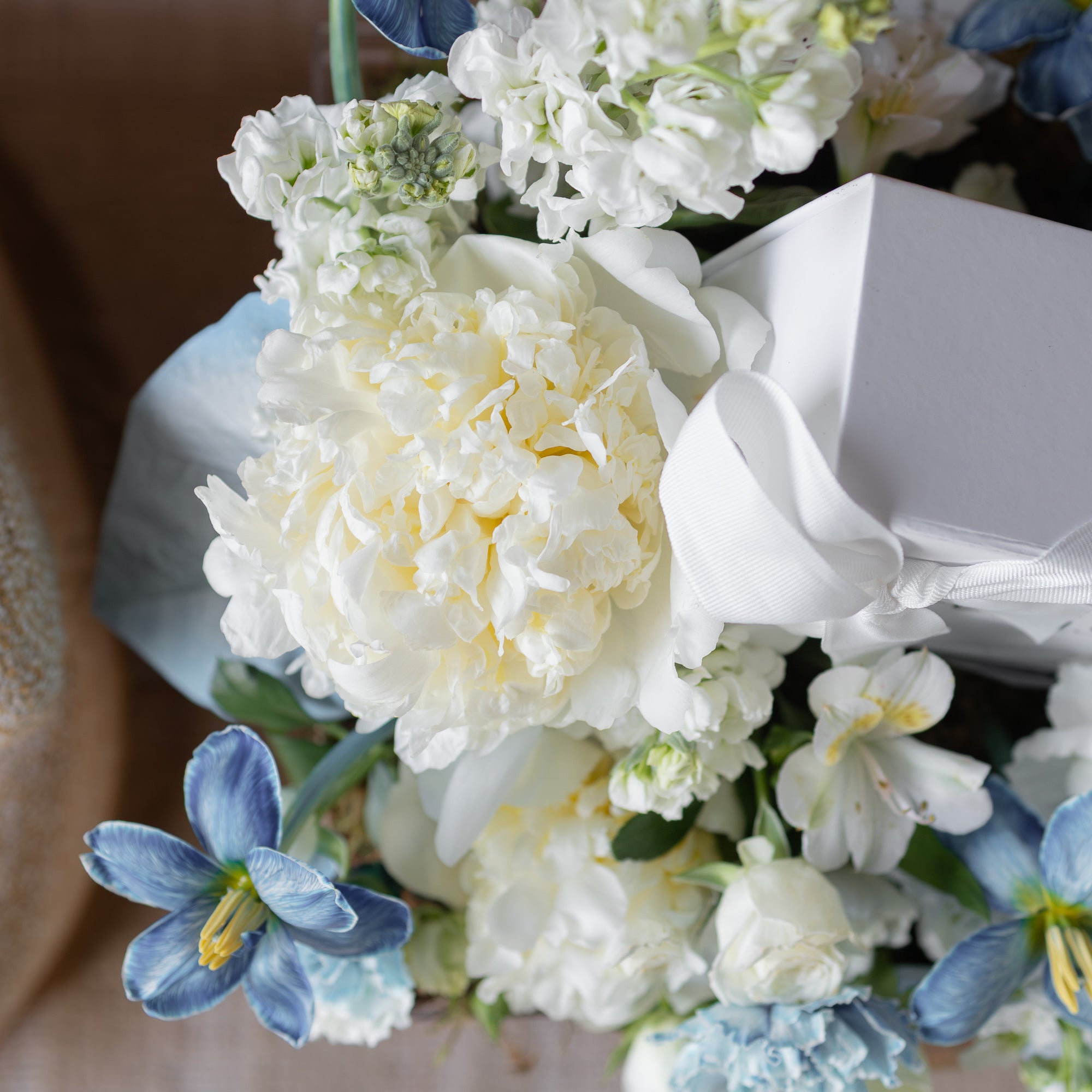 Serenity Blue's