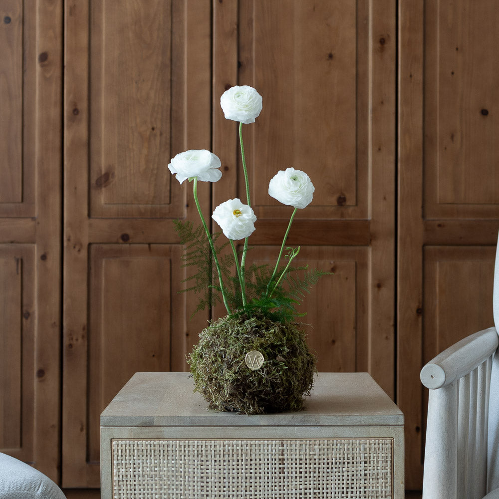 Florévoque
