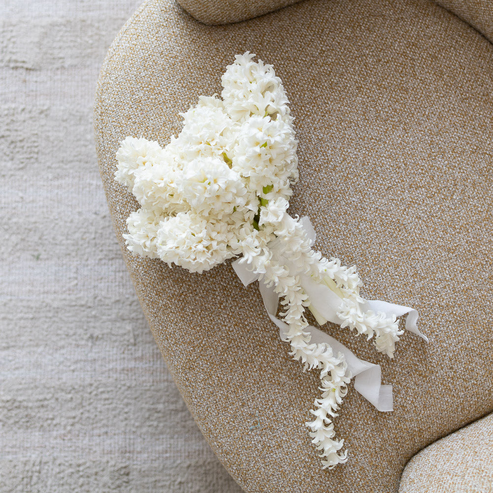 Hyacinth Grace