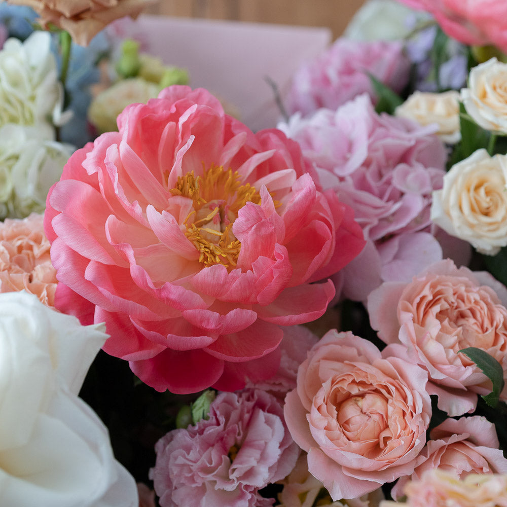 Ivory Blush