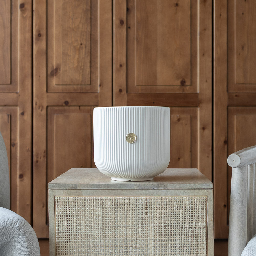 Monarch Ceramic