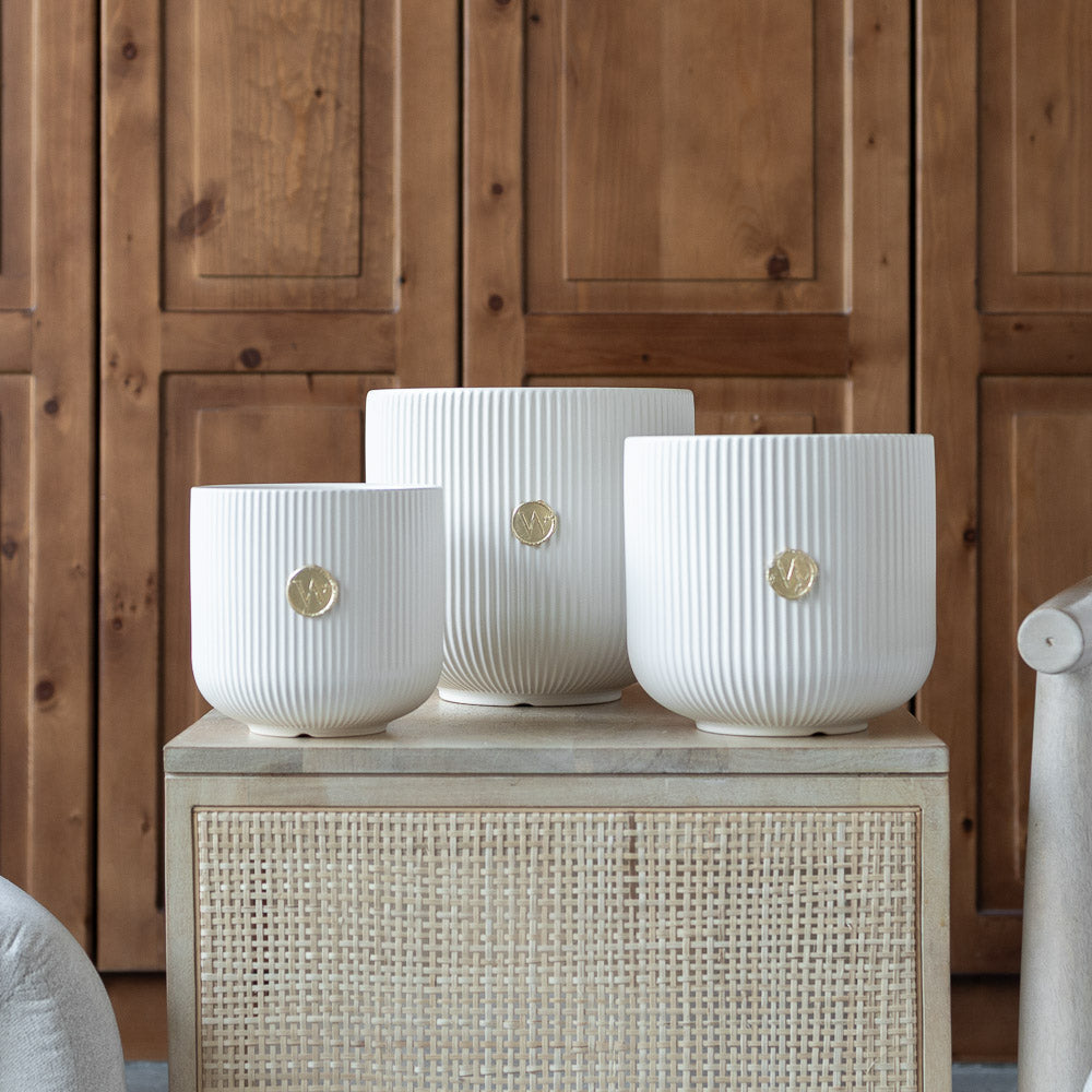 Monarch Ceramic