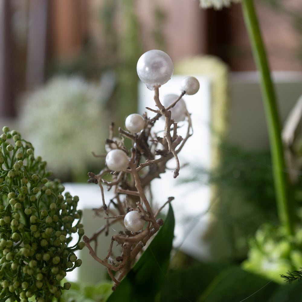 Whimsical Vines
