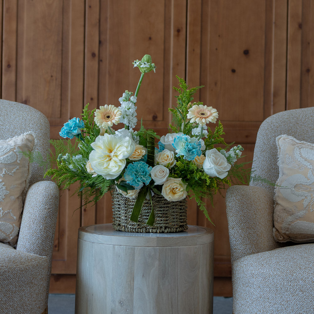 Gentle Blooms