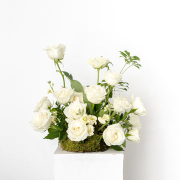 Table Bloom displays