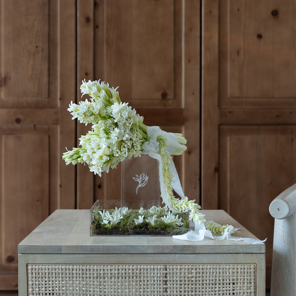 Hyacinth Grace