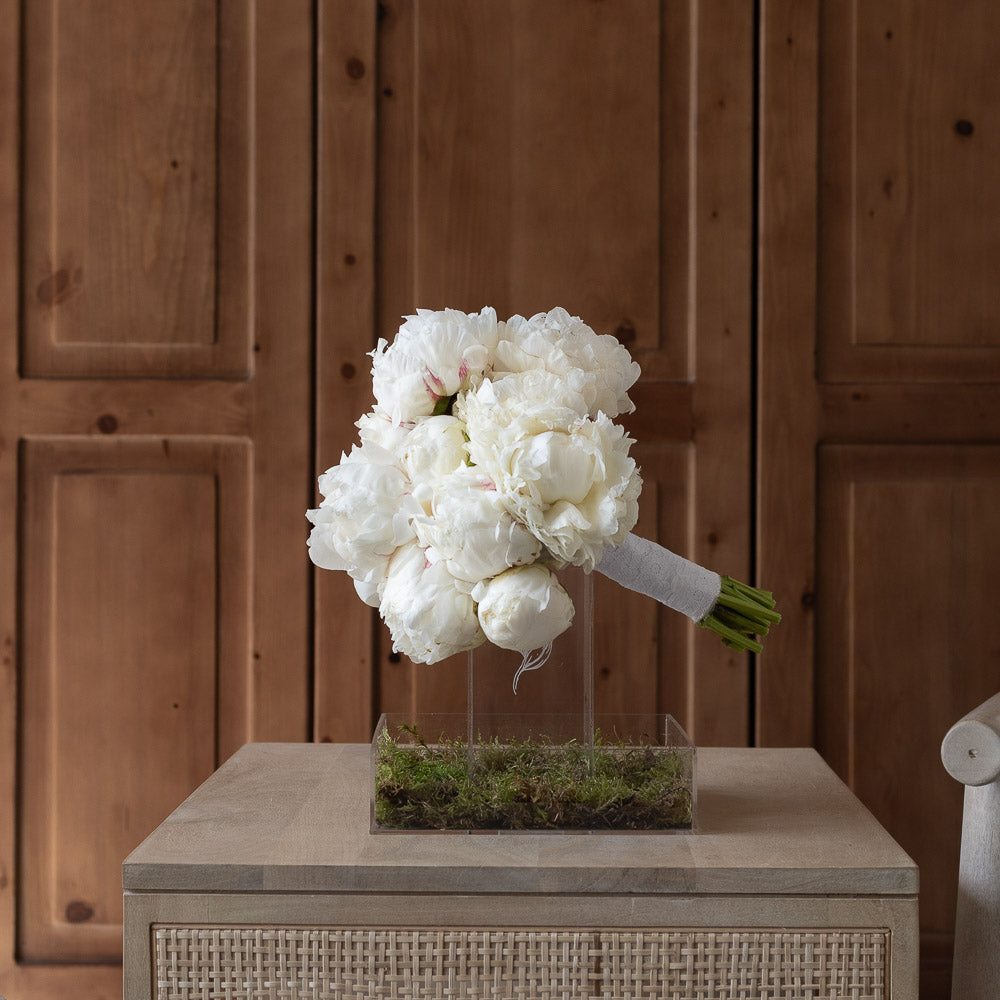 Enchanted Peony