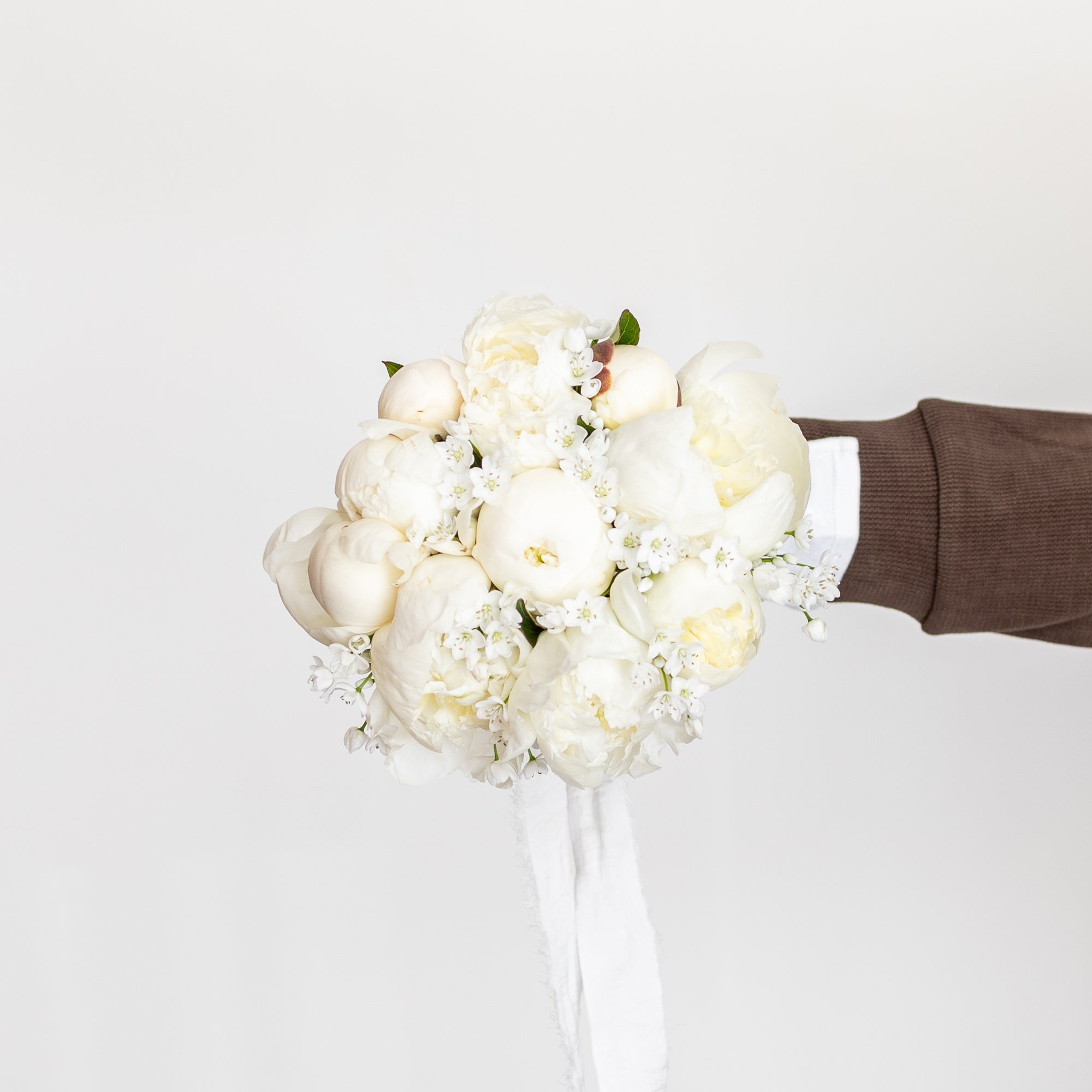 Reverie Peonies